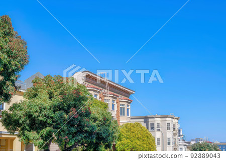 Lush trees at the front of residential buildings in San Francisco, California 92889043