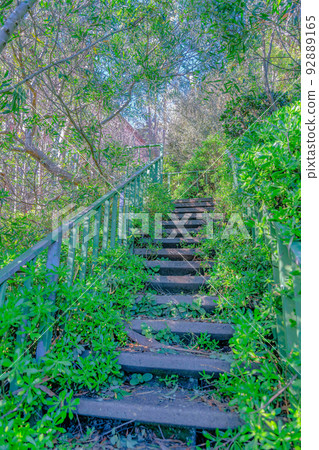 Wooden staircase in the middle of woods on a slope at San Francisco, California Wooden staircase in the middle of woods on a slope at San Francisco, California 92889165