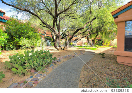 Walkway with bunny ear cactus on the left and trees at the back at Tucson, Arizona 92889228