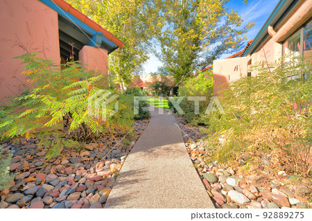Small concrete walkway in the middle of plants near the houses on the side in Tucson, Arizona 92889275