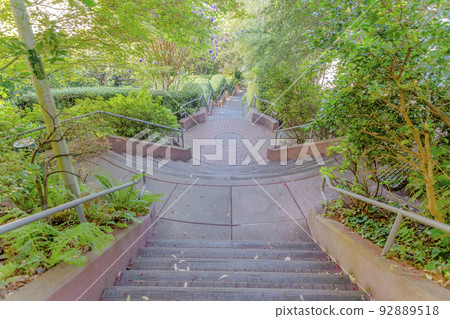 Outdoor staircase on a slope with plants and trees on the side at San Francisco, California Outdoor staircase on a slope with plants and trees on the side at San Francisco, California 92889518