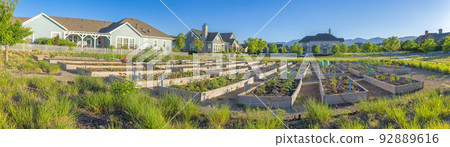 Variety of crops on a public garden at Daybreak, South Jordan, Utah 92889616