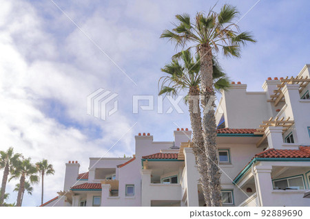 Palm trees outside the residential building in a low angle view at San Clemente, California 92889690