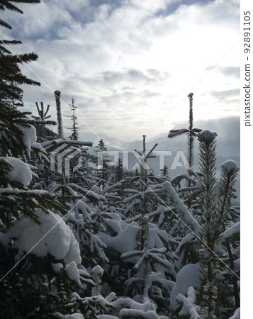 Mountain panorama in Bavarian Alps, in wintertime 92891105