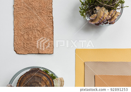 Vegan leather sample, leather from mushroom mycelium, eco friendly concept alternative bio leather top view Vegan leather sample, leather from mushroom mycelium, eco friendly concept alternative bio leather top view 92891253