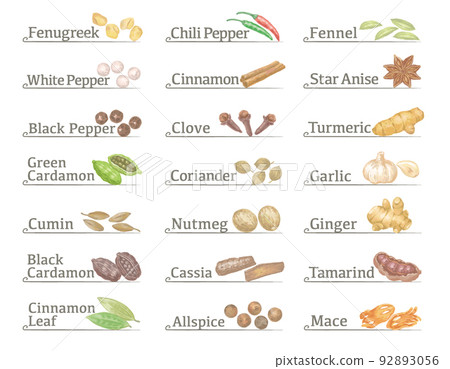 Curry spice label material using watercolor illustrations. Vector illustration. 92893056