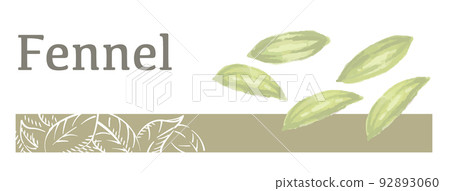 Fennel (curry spice) label material using watercolor illustrations. Vector illustration. Fennel (curry spice) label material using watercolor illustrations. Vector illustration. 92893060