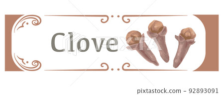 Clove (spice) label material using watercolor illustrations. Vector illustration. Clove (spice) label material using watercolor illustrations. Vector illustration. 92893091