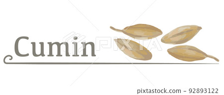 Cumin (curry spice) label material using watercolor illustrations. Vector illustration. Cumin (curry spice) label material using watercolor illustrations. Vector illustration. 92893122