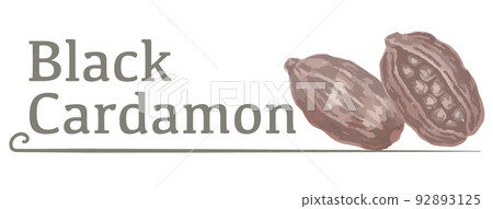 Black cardamom (spice) label material using watercolor illustrations. Vector illustration. Black cardamom (spice) label material using watercolor illustrations. Vector illustration. 92893125