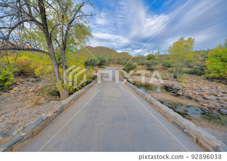 Stone bridge heading to a field of saguaro cactuses in Sabino Canyon State Park in Tucson, AZ Stone bridge heading to a field of saguaro cactuses in Sabino Canyon State Park in Tucson, AZ 92896038