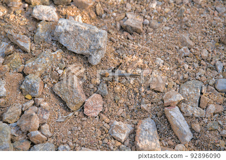 Camouflaged cricket on a rocky soil at Sabino Canyon State Park in Tucson, Arizona 92896090