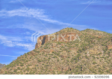 Desert mountain with saguaro cactuses and wild plants at Sabino Canyon State Park- Tucson, AZ 92896096