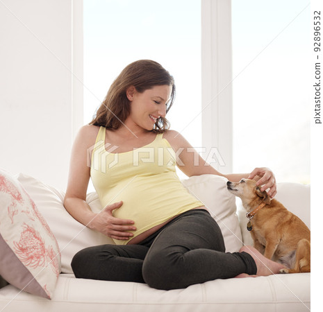 Are you ready to meet your best friend. Shot of a young pregnant woman sitting on her sofa with her dog next to her. 92896532