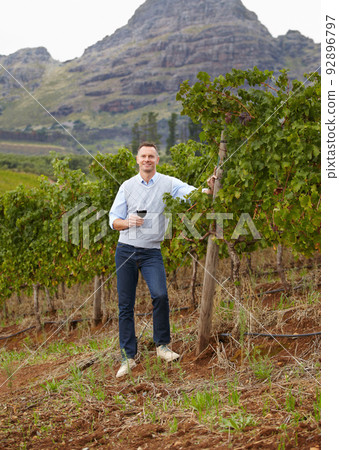 He is passionate about his wines. Portrait of a mature wine maker holding a glass of red wine while standing in the vineyard. He is passionate about his wines. Portrait of a mature wine maker holding a glass of red wine while standing in the vineyard. 92896797