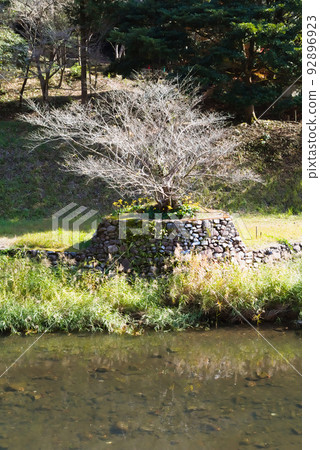 Manose River Autumn Iwaya Park Manose River Autumn Iwaya Park 92896923