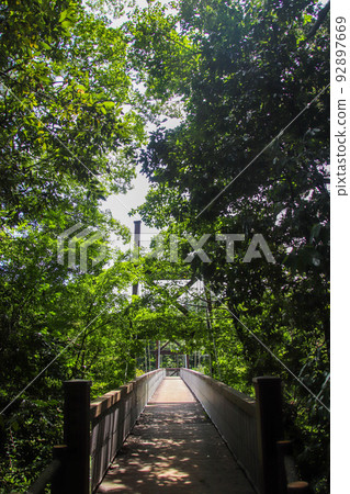 泉之森的綠色橋樑 92897669