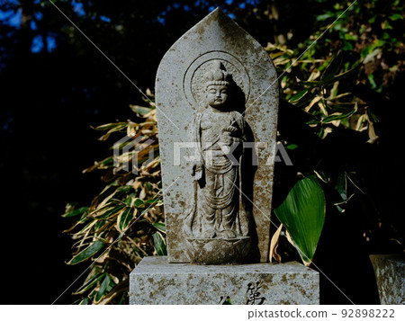 Stone Buddha and Kumazasa Stone Buddha and Kumazasa 92898222