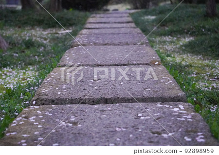 Stepping stones scattered with cherry blossom petals 92898959