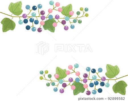 Illustration of colorful wild grapes 92899382
