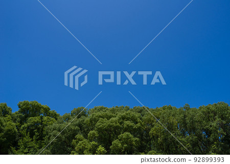 green clear blue sky 92899393