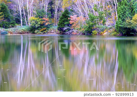 Triangular Pond Reflection 92899913