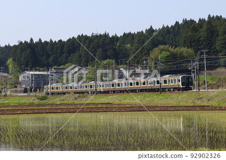 初夏稻田和宇都宮線E131系列(6節列車:宇都宮⇔黑磯) 初夏稻田和宇都宮線E131系列(6節列車:宇都宮⇔黑磯) 92902326
