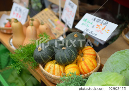 Asama Kogen Botchan Pumpkin 92902455