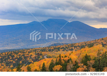 三國通行證“秋天的北海道” 92903149