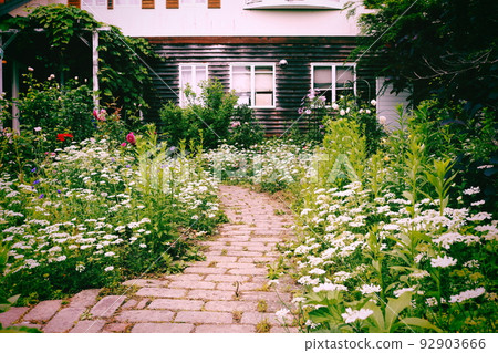 English garden English garden 92903666
