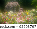 The rose flower is loved as a symbol of "love" and "beauty" 92903797