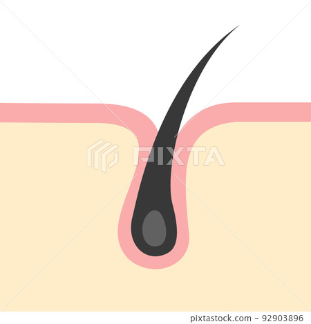 簡單髮根的圖像說明 92903896