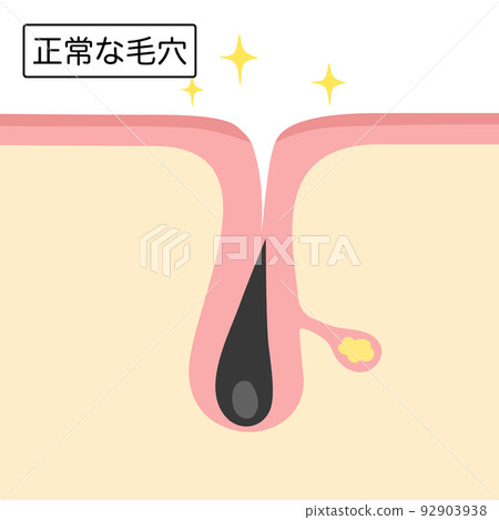 Image illustration of normal pores Image illustration of normal pores 92903938