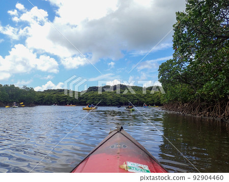 Kayaking on the Hinai River Kayaking on the Hinai River 92904460