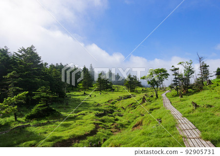 The southern part of the Southern Alps, Shohei scenery, Japan The southern part of the Southern Alps, Shohei scenery, Japan 92905731