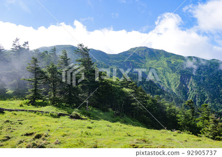 South of the Southern Alps, view of Mt. Kamikawachi from Seidaira, Japan South of the Southern Alps, view of Mt. Kamikawachi from Seidaira, Japan 92905737