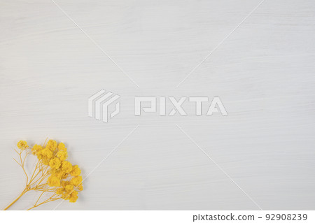 Background material cute pressed flowers Background material cute pressed flowers 92908239