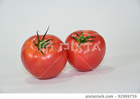 red tomato on white background red tomato on white background 92909739