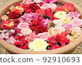 floating roses 92910693