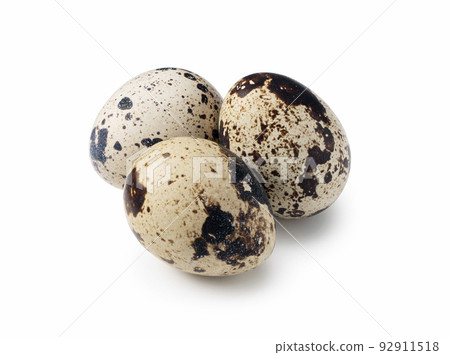 Quail eggs Quail eggs 92911518