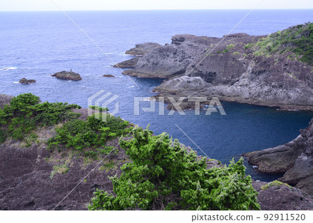 南伊豆町的色崎 92911520