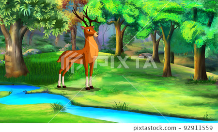 Deer near a forest stream illustration 92911559