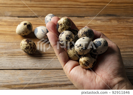 Male hand holding quail eggs Male hand holding quail eggs 92911846