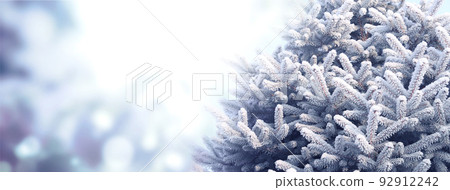 Horizontal Christmas background with fir tree in hoarfrost. Holiday xmas banner with blue spruce on abstract backdrop 92912242