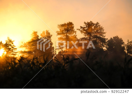 Very beautiful sunrise in summer over a foggy lake. Early morning in summer in nature. Defocused Very beautiful sunrise in summer over a foggy lake. Early morning in summer in nature. Defocused 92912247