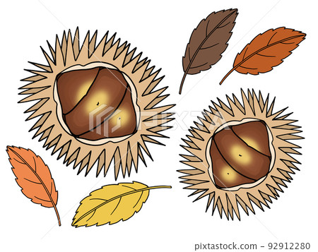 Illustration of chestnuts and autumn leaves 92912280