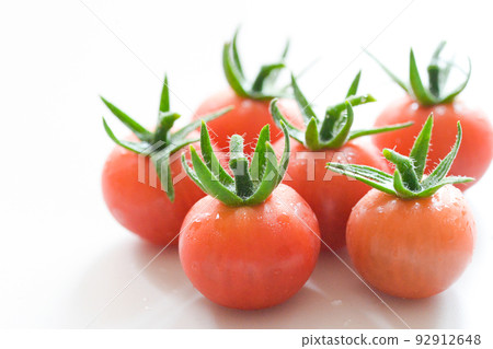成熟的迷你番茄 成熟的迷你番茄 92912648