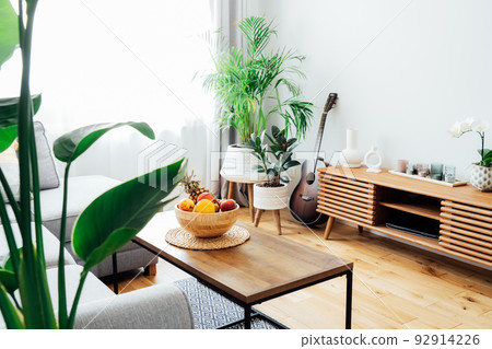 Stylish and modern scandinavian interior of open space living room with bamboo bowl with fruits on the coffee table, gray couch sofa, and many green plants. Biophilia. Open space home interior design Stylish and modern scandinavian interior of open space living room with bamboo bowl with fruits on the coffee table, gray couch sofa, and many green plants. Biophilia. Open space home interior design 92914226
