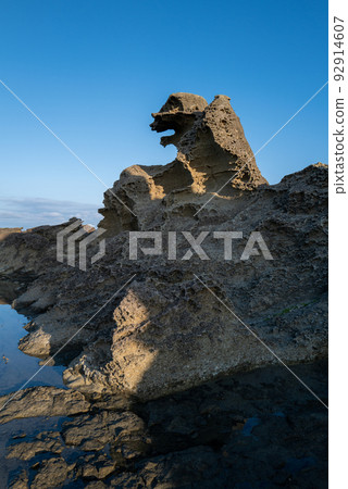 Godzilla Rock of the Oga Peninsula Godzilla Rock of the Oga Peninsula 92914607