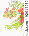 Colorful Flower In Bloom Background 92914930